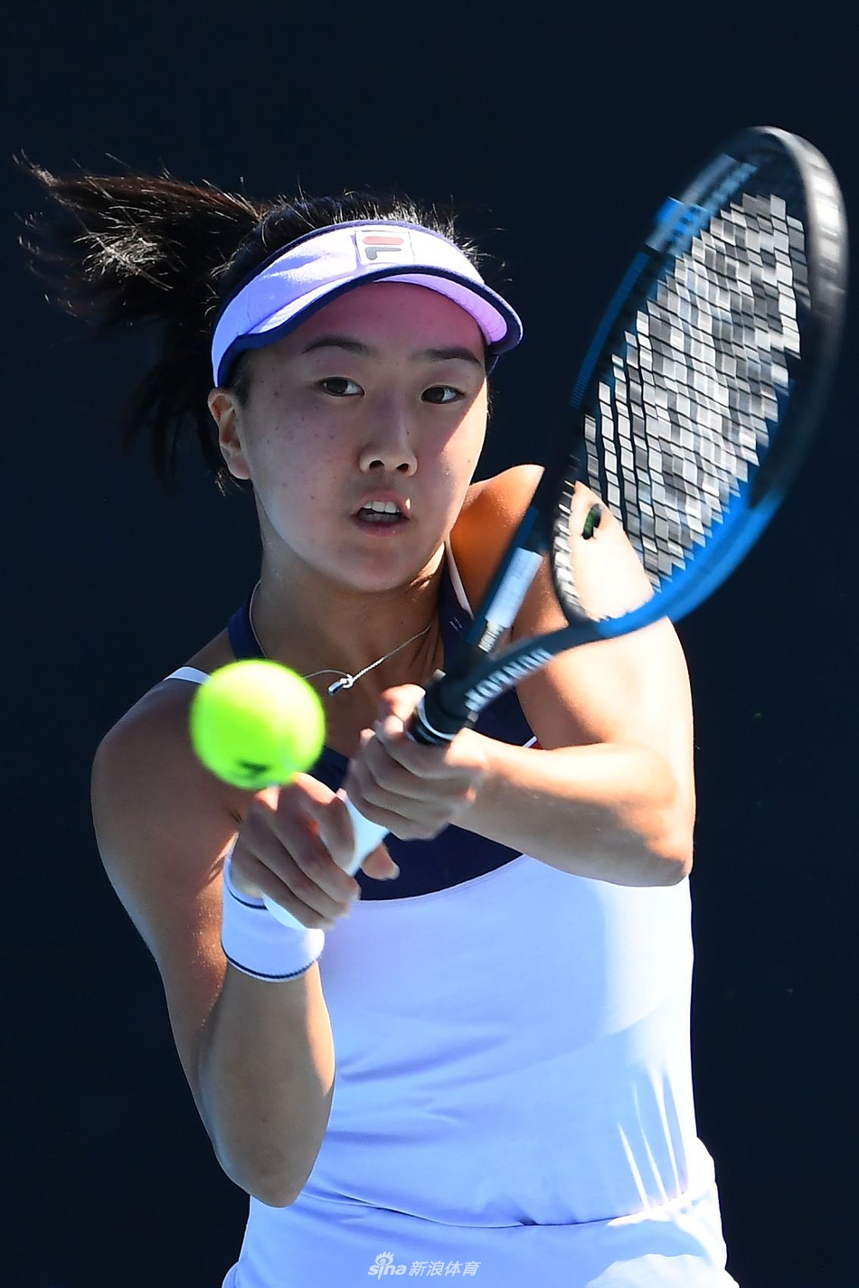 的政治活动 的政治活动